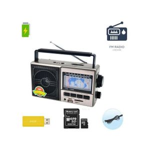 Fepe RADIO FM AM SW Lecteur AUDIO , RECHARGEABLE USB SD et MICRO SD.