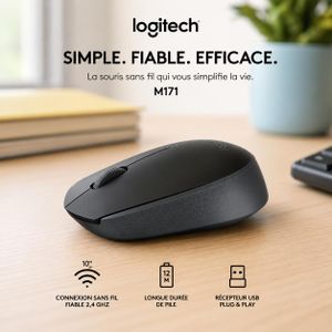 Souris M171 – La simplicité sans fil au quotidien