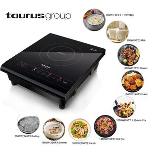 TAURUS PLAQUE ELECTRIQUE VOLCANO DUO INOX