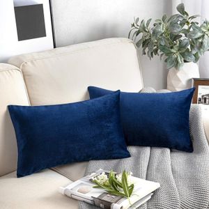 2 Housses de Coussin en Velours Super Doux Décoration Maison