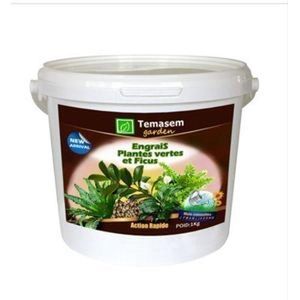 Temasem garden Engrais plantes vertes et ficus