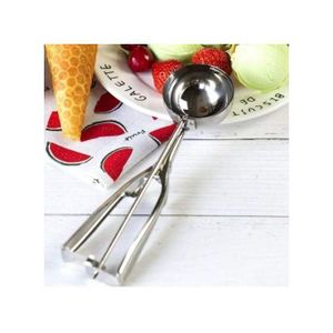 Cuillère à glace en acier inoxydable pour déguster crème glacée