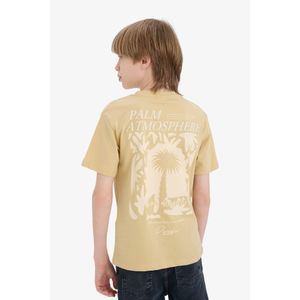 Defacto تيشيرت نص كم مطبوعة قصة عادية بياقة مستديرة