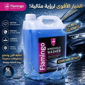 Lave-Glace 5L Premium All Season - Formule Allemande Haute Clarté pour Vision Parfaite, Anti-Trace & Protection Wipers - Grand Format