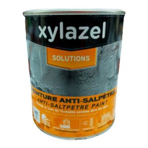 Peinture anti humidité - home-bubble