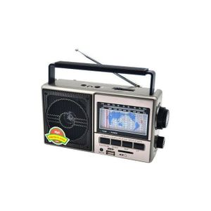 Fepe RADIO FM AM SW Lecteur AUDIO , RECHARGEABLE USB SD et MICRO SD.