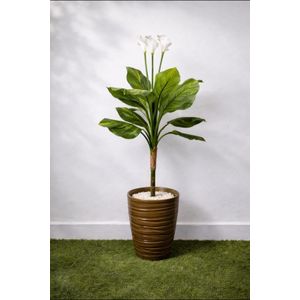 Plante artificielle 