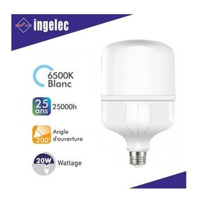 Ampoule LED haute puissance INGELEC E40 50W 6500°K LEDH50E40B