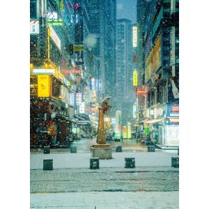 Statue in snowy neon stree  Poster Chambre Haute Qualité