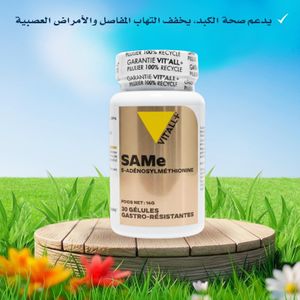 vitall + SAMe  S Adénosylméthionine 30 gélules 