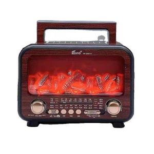 Fepe Radio Portable Vintage & Enceinte Sans Fil FP-821