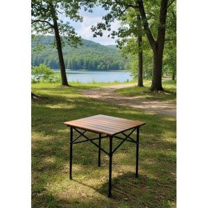 Table compacte pour pique-nique et activités en plein air