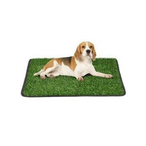 tapis gazon pour chien