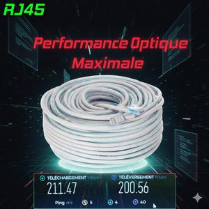 Câble Réseau Ethernet RJ45 UTP CAT6 250Mhz LAN 