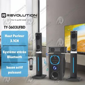 REVOLUTION Haut-parleur 3.1CH Bluetooth avec caisson de basse, FM, USB et SD, TY-3603UFBD