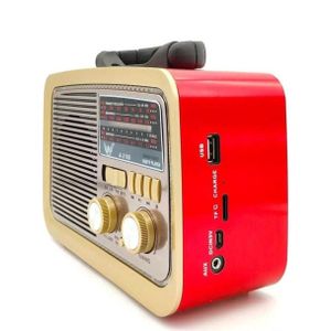 Radio portable multi-bandes écoute variée