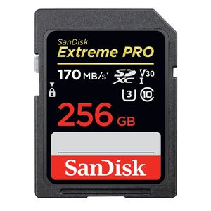 Dahua - Carte mémoire MicroSD 256Go DHI-TF-P100/256GB