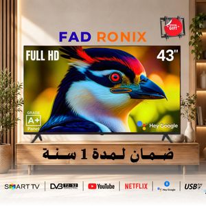 FAD RONIX 43 HD Smart TV LED A+ Grade Panel, Netflix, YouTube, Hey Google + Support Gratuit