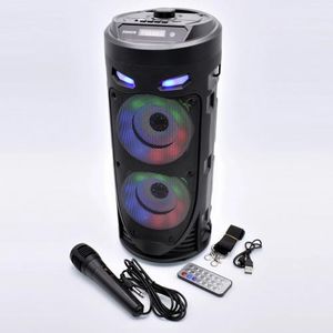 Sans fil Bluetooth Microphone Karaoké Portable Haut-Parleur KTV Joueur avec  LED Lumières de Danse Fonction D'enregistrement pour Enfant, ✓ Meilleur  prix au Maroc et ailleurs