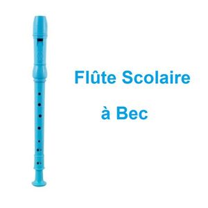 Flûte à bec soprano Descant 8 trous avec tige, Instruments de Musique à  Oujda