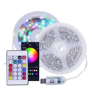 Bande LED RGB avec connexion USB et contrôle 10mt IP67