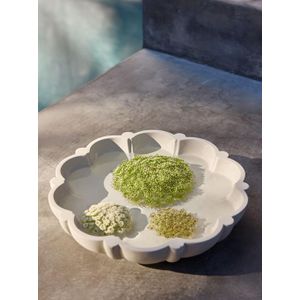 Bain d'oiseau en ciment