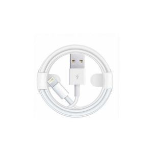 Câble Original pour iPhone Lightning vers USB pour iPhone