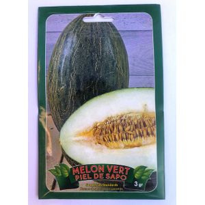 20 graines - MELON VERT D'ESPAGNE - Piel de Sapo : : Jardin