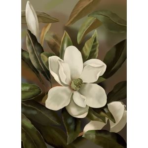 Orchids flowers plants  Poster Chambre Haute Qualité