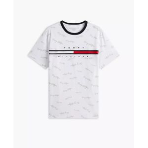 Tommy Hilfiger Tee-Shirt TommyH 100% Coton