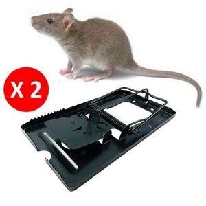 Edge 7Pcs à colle efficace pour chasser les souris & les rats Piège à souris  collante