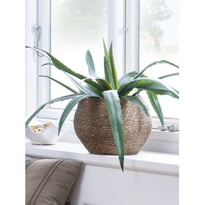 Cache-Pot Décoratif Jonc Brun Foncé Ø26xH23cm Intérieur Design Naturel Plante Fleurs Style Bohème Chic