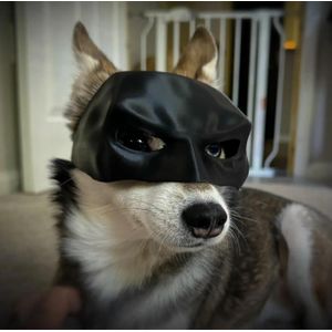 CREALITY Cat/Dog Batman Mask