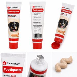 Dentifrice pour chiens Dafra au goût de poulet