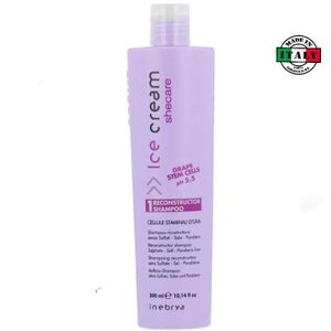 Inebrya Shampoing reconstructeur  Shaker 300 ml