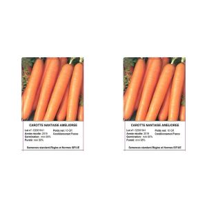 Graines de Carotte - Variété Nantaise Améliorée - Semences pour Jardinage - Orange 10 Grammes