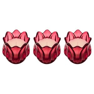 Bougie Parfumée - Pot Verre - Parfum Fleur de Rose - 75 g - Lot de 3