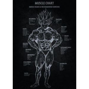 Anime Muscle Chart Poster Chambre Haute Qualité