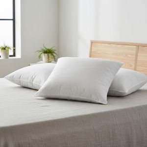 Lot de 2 Coussins à Recouvrir 40x40 cm - Garnissage Polyester Recyclé, Confort Doux, Fabrication Durable, Blanc