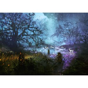 Enchanted  Poster Chambre Haute Qualité