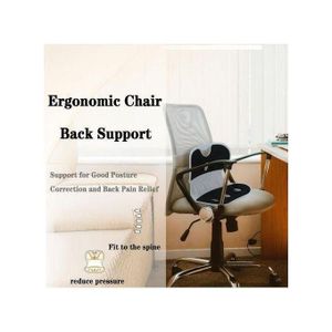 Coussin Lombaire pour Bureau – Soutien du Dos, Confort et Posture