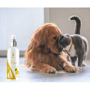 Parfum Chien Professionnel - Senteur Fraise - vaporisateur 100 ml