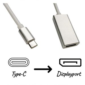 Adaptateur USB Type-C 3.1 Vers DisplayPort Femelle - 16 cm