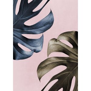 Monstera pink light 01  Poster Chambre Haute Qualité