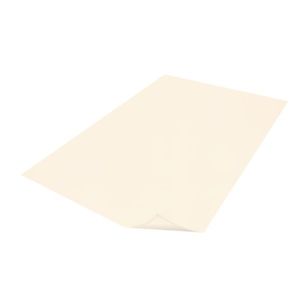 Ramette papier A4 - Blanc - 160g/m² - Clairefontaine DCP - 1842C