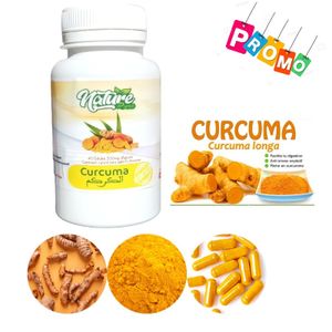 INDOKA Curcuma 300mg 60 gélules - Anti-inflammatoire & Antioxydant