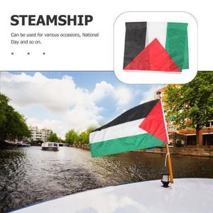 Lot 10 Drapeaux Palestine – Multicolore
