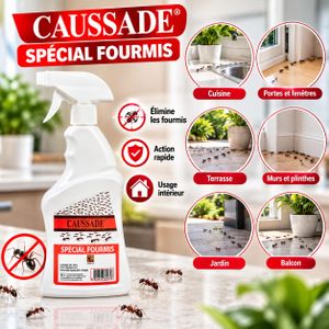 Insecticide Special Fourmis Spray Liquide Pret A L'emploi Action Rapide
