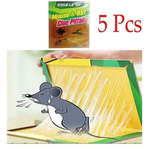 5Pcs Pièges à Souris Collant Piège a Rat Colle Tapis Collant Anti Rongeurs  Tapis de Glue Adhésives Anti Souris et Rats