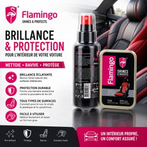 Nettoyant Lustrant Habitacle Voiture Spray avec Eponge - Protege et Ravive Cuir Plastique Vinyle Caoutchouc Tableau de Bord Sieges Fini Non Gras 116 ml